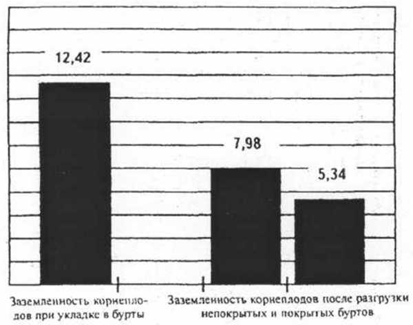 Заземленность корнеплодов сахарной свеклы