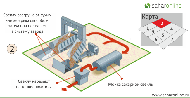 Разгрузка и мойка свеклы